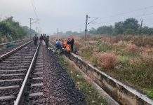 7-Year-Old Tigress Killed by Freight Train Near Manikgarh; Forest Department Launches Probe