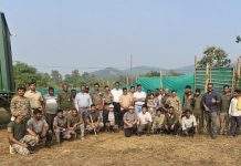 ताडोबातून ६३ चीतलांचे यशस्वी स्थानांतरण पहिल्या टप्प्यातील १० चीतलांचे स्थलांतर २१ नोव्हेंबर २०२५ रोजी पूर्ण