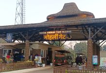 महाराष्ट्र से वन्यजीव प्रेमियों के लिए बड़ी खुशखबरी!