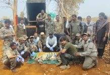 ब्रह्मपुरी वन विभाग की सफलता – मानव जीवन के लिए खतरा बनी बाघिन बेहोश कर पकड़ी