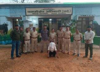 सिंदेवाही वनपरिक्षेत्रात मांदुळ प्रजातीच्या सापांसह 7 आरोपींवर कारवाई; सर्वांना न्यायालयाने पाठवले कारागृहात