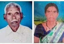 बाघ के हमले में तलोधी और सिंदेवाही में दो की मौत