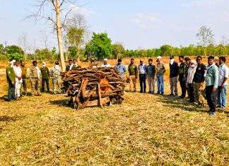 खुले कुओं का खतरा बरकरार, 8 वर्षीय नर बाघ की गई जान